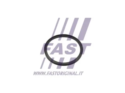 FT49857 FAST Уплотнительное кольцо