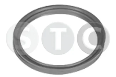 T498720 STC Уплотнительное кольцо, трубка нагнетаемого воздуха