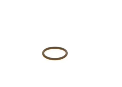 Уплотнительное кольцо BOSCH F 00V C38 044