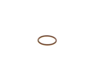 Уплотнительное кольцо BOSCH F 00V P01 005