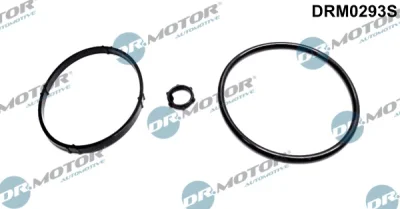 DRM0293S Dr.Motor Automotive Комплект прокладок, маслянный радиатор