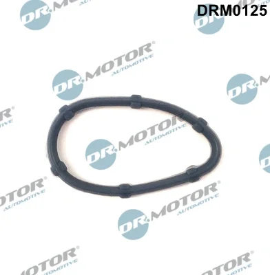 DRM0125 Dr.Motor Automotive Прокладка, впускной коллектор