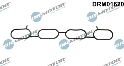 DRM01620 Dr.Motor Automotive Прокладка, впускной коллектор