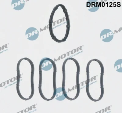 DRM0125S Dr.Motor Automotive Комплект прокладок, впускной коллектор