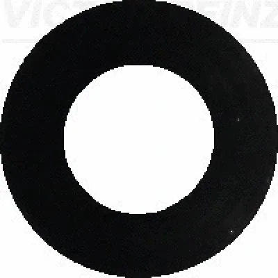 Уплотнительное кольцо, стержень клапана VICTOR REINZ 40-77023-00