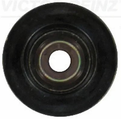 70-19295-00 VICTOR REINZ Уплотнительное кольцо, стержень клапана