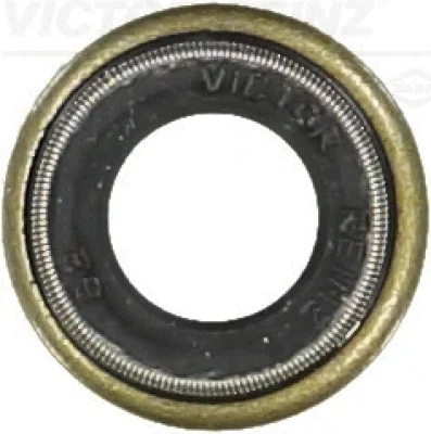 Уплотнительное кольцо, стержень клапана VICTOR REINZ 70-25824-20