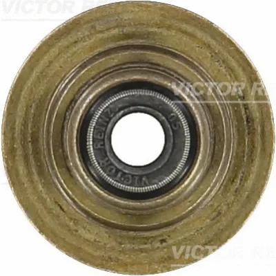 70-35547-00 VICTOR REINZ Уплотнительное кольцо, стержень клапана