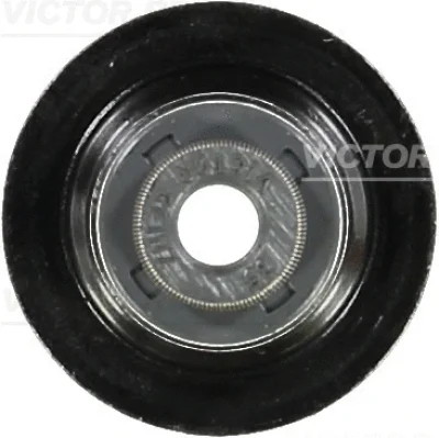 Уплотнительное кольцо, стержень клапана VICTOR REINZ 70-54093-00