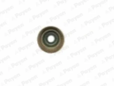 PA6095 PAYEN Уплотнительное кольцо, стержень клапана