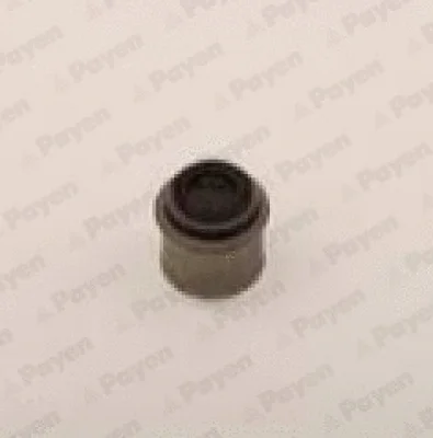 Уплотнительное кольцо, стержень клапана PAYEN PA883