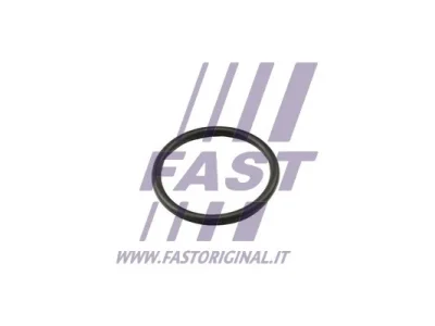 FT49917 FAST Прокладка, термостат