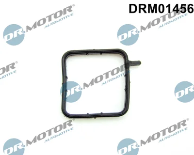 DRM01456 Dr.Motor Automotive Прокладка, трубка охлаждающей жидкости