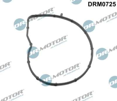 DRM0725 Dr.Motor Automotive Прокладка, водяной насос