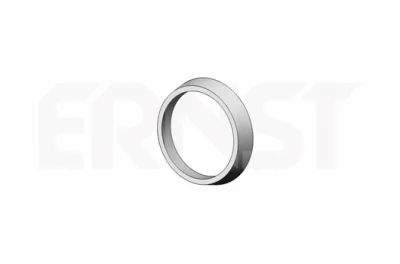 Уплотнительное кольцо, труба выхлопного газа ERNST 493918