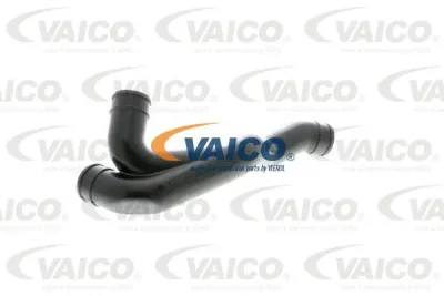 Шланг, вентиляция картера VAICO V10-0796