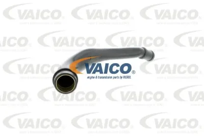 Шланг, вентиляция картера VAICO V10-2524