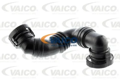 V10-3100 VAICO Шланг, вентиляция картера