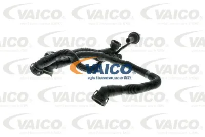 V10-3505 VAICO Шланг, вентиляция картера