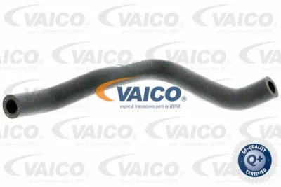 Шланг, вентиляция картера VAICO V10-4649