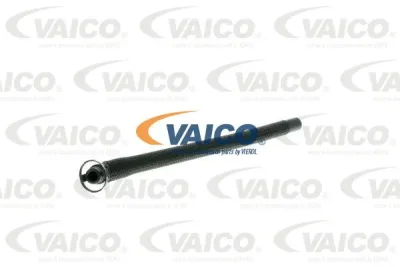 V20-0787 VAICO Шланг, вентиляция картера