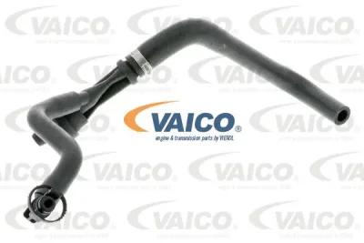 V20-1574 VAICO Шланг, вентиляция картера