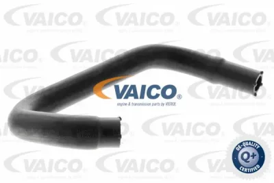 V25-1222 VAICO Шланг, вентиляция картера