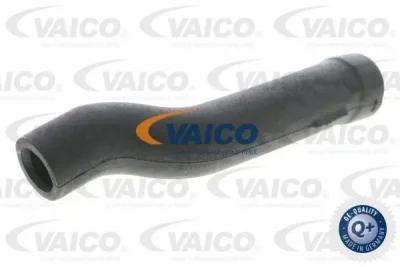 V30-0798 VAICO Шланг, вентиляция картера