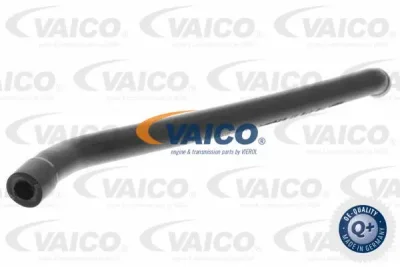 Шланг, вентиляция картера VAICO V30-0862