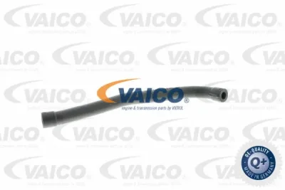 V30-0907 VAICO Шланг, вентиляция картера