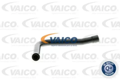 V30-0908 VAICO Шланг, вентиляция картера