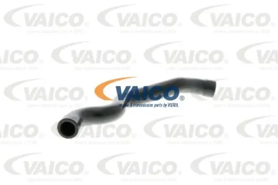 Шланг, вентиляция картера VAICO V30-1380
