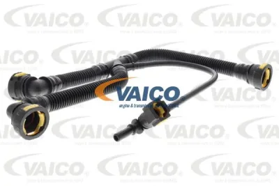 V42-0854 VAICO Шланг, вентиляция картера