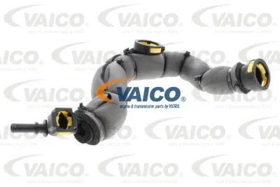 V42-0856 VAICO Шланг, вентиляция картера