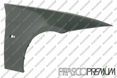 Крыло PRASCO BM0243013