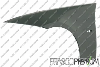 Крыло PRASCO BM0243014