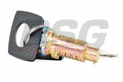 Цилиндр замка BSG BSG 60-856-001