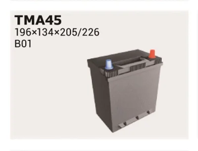 TMA45 IPSA Стартерная аккумуляторная батарея
