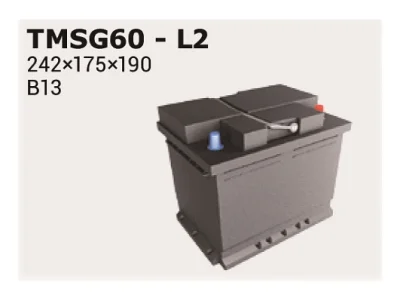 TMSG60 IPSA Стартерная аккумуляторная батарея