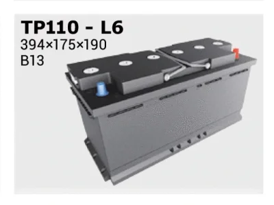TP110 IPSA Стартерная аккумуляторная батарея