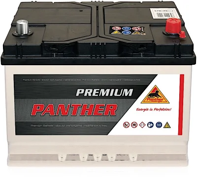SB.5702900 PANTHER Стартерная аккумуляторная батарея