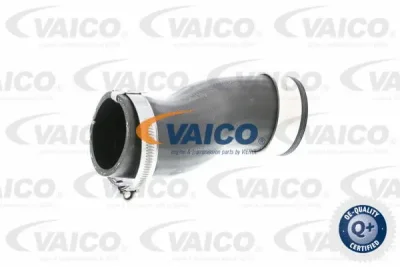 Трубка нагнетаемого воздуха VAICO V10-2836