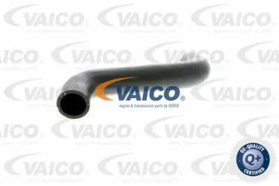 Трубка нагнетаемого воздуха VAICO V10-2886