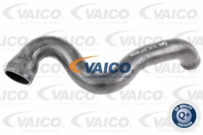 Трубка нагнетаемого воздуха VAICO V10-2912