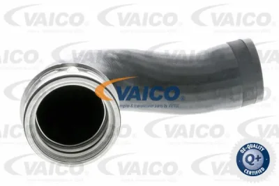 Трубка нагнетаемого воздуха VAICO V10-3768