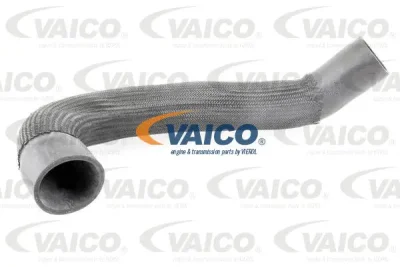 V10-3838 VAICO Трубка нагнетаемого воздуха