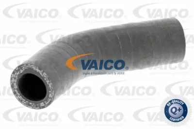 Трубка нагнетаемого воздуха VAICO V24-0631