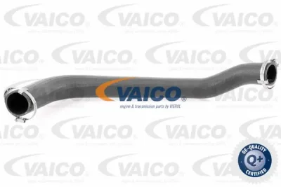 V25-1025 VAICO Трубка нагнетаемого воздуха