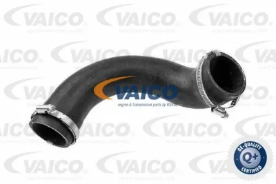 V95-0354 VAICO Трубка нагнетаемого воздуха